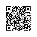 0505J0636P80BQT QRCode