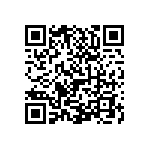 0505J2004P30BQT QRCode