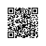 0505Y1001P80BQT QRCode