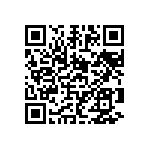 0505Y1001P80DQT QRCode