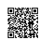 0505Y2500131KQT QRCode