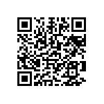 0505Y2502P40DQT QRCode