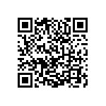 0505Y250P600DQT QRCode