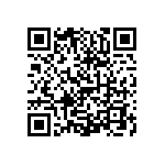 0505Y3002P10DQT QRCode