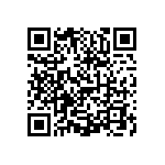 0505Y3002P10HQT QRCode