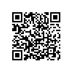 0505Y3003P60DQT QRCode