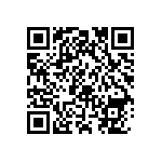 0505Y3006P80BQT QRCode