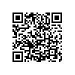 0505Y3009P10DQT QRCode