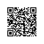 0505Y300P800BQT QRCode