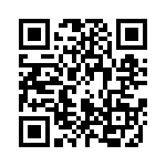 0510134203 QRCode