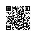 0603Y3001P60DQT QRCode