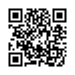 0609-0799 QRCode