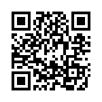 0704021 QRCode