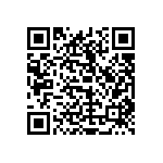 0805Y0630471KET QRCode