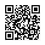 09030006133 QRCode