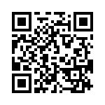 09110006133 QRCode