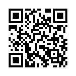 09110006161 QRCode