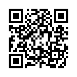 09110009951 QRCode