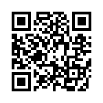 091131009300 QRCode