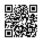 09140010313 QRCode