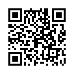 09150006207 QRCode