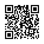 09150009953 QRCode