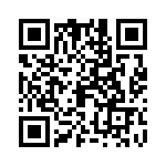 09150083013 QRCode