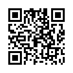 09152000313 QRCode