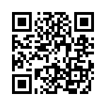 09161083001 QRCode