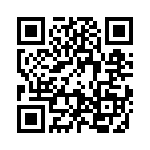 09185065004 QRCode