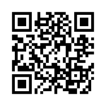 09195105323741 QRCode