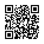 09400060317 QRCode