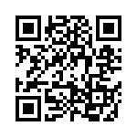 09513100931203 QRCode