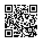 095136309311 QRCode