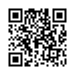 09691100022 QRCode