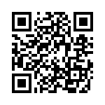 1-1734101-3 QRCode