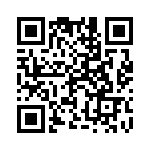 1-1734261-2 QRCode