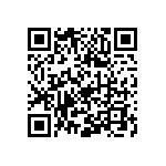 1-30295-0020000 QRCode