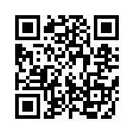 10-131611-3S QRCode