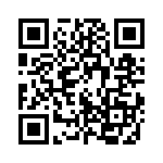 10-9513-10T QRCode