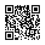 100-290-250 QRCode