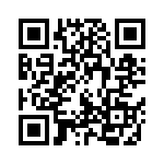 1003P1T2B4M7RE QRCode