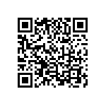 1003P4T6B11M1QE QRCode