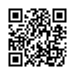 100494-2 QRCode