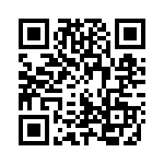 100R-391K QRCode