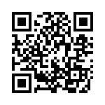 101-0993 QRCode