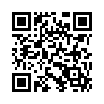 101-0999 QRCode