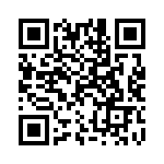 101333U063DC2B QRCode