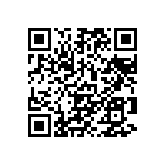 101C113T200DD2B QRCode