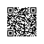 101C133U030AA2B QRCode